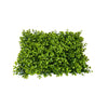 Panel Bari Artificial Boxwood 60×40 cm – Mur Dekorativ me Gjethe Rrumbullake Super Realiste