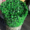 Gardh Artificial me Gjelberim 10m x 1m